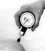 Pain Test